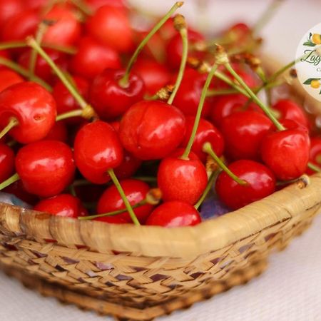 شقة Zagare E Limoni أوستوني المظهر الخارجي الصورة