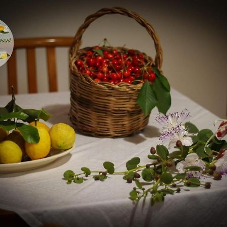 شقة Zagare E Limoni أوستوني المظهر الخارجي الصورة