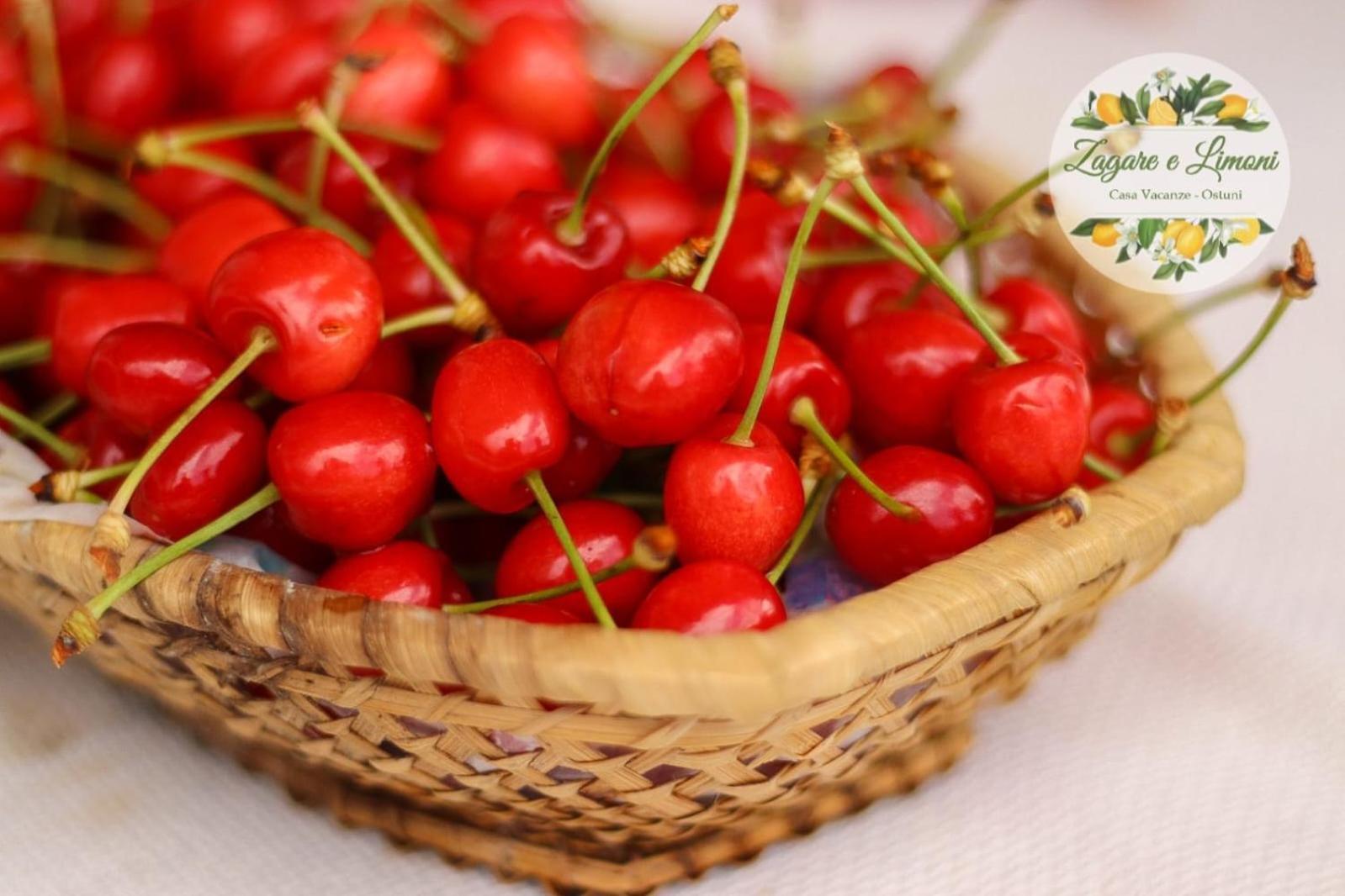 شقة Zagare E Limoni أوستوني المظهر الخارجي الصورة