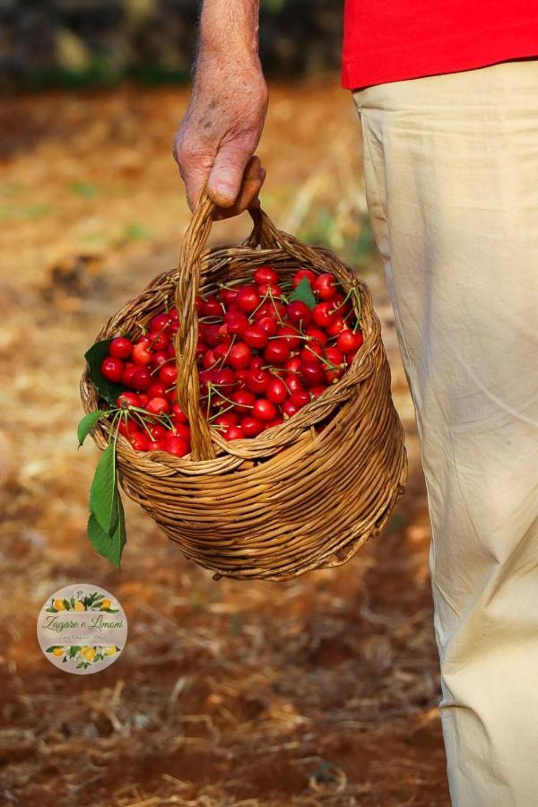 شقة Zagare E Limoni أوستوني المظهر الخارجي الصورة